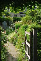 View through garden gate along path with herbaceous border. 