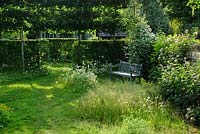 Small wild area of a town garden in summer with un-mown grass, ox eye daisies, neatly trimmed hedges and wooden garden bench.
