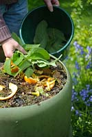 Adding comfrey leaves to compost