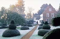 Topiary garden with frost. Clipped yew, gravel path. The Manor, Hemingford Grey, Cambridgeshire.