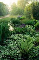 View of ornamental streamside planting with hostas, ferns and irises