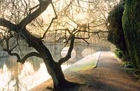 View of Bridge across the River Cam with weeping willow. Clare College, Cambridge