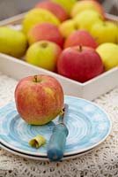Malus domestica Duo apple with corer on plate 