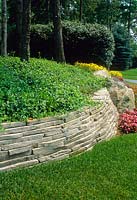 Dry stone retaining wall next to lawn. Ground cover euonymus. Brighton, Michigan USA. July.