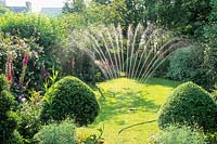Small town garden with sprinkler watering lawn in summer