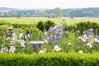 View over a low clipped box hedge and iris border with water feature. Planting includes, Buxus, Centaurea montana, Iris 'Pearl Chiffon', Iris 'Violet Turner', Iris germanica, Papaver 'Karine', Taxus baccata