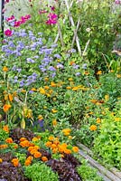 Mixture of flowers and vegetables in a kitchen garden. Wooden beams allow to step into the planting, Ageratum, Cosmos, Mentha,  Tagetes and Zinnia