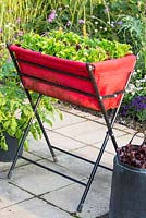 Salads in a raised fabric planter that is held by a collapsible metal frame
