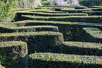 Detail of a yew labyrinth at Trautmannsdorf gardens, Italy
