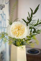 Rosa 'Patience' in a cut flower arrangement on a bedside table