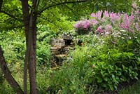 Natural stone man-made waterfall through deciduous tree and bordered by Lythrum salicaria - Purple Loosestrife flowers, perennial plants and shrubs in front yard country garden in summer, Quebec, Canada