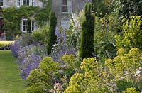 Mixed herbaceous border with Euphorbia characias subsp. Wulfenii, Geranium 'Rozanne' and Nepeta 'Six Hills Giant.