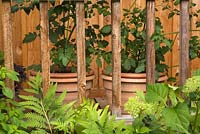 Green plants in terracotta containers on the veranda of a wooden storage shed - workshop in private backyard country garden in summer, Quebec, Canada