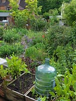 Alys Fowler's 18m x 6m, organic back garden. Pretty and productive, a mix of fruit, herbs, flowers and vegetables thrive in packed borders. Recycled plastic bottles make mini cloches.