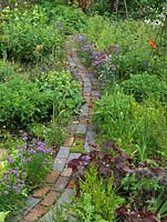 A mix of fruit, herbs, flowers and vegetables thrive in packed beds, separated by winding brick path. Alys Fowler's 18m x 6m, organic back garden. Pretty and productive, a