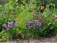 Bed with a planting combination of chives, astrantia, oriental poppy, hardy geranium, centaurea and caraway. Alys Fowler's 18m x 6m, organic garden. Productive and pretty.