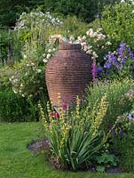 Huge terracotta pot with Rosa 'Buff Beauty', Campanula latifolia 'Brantwood', foxglove, Anthemis 'Sauce Bearnaise' and Sisyrinchium striatum.