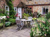 Secluded courtyard with table and chairs amidst pots of tree fern, hosta, Asiatic hybrid lilies, pelargonium and Fuchsia 'Mrs. W Rundle', standard F. 'Celia Smedley'.