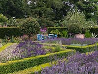 Parterre of four triangular, box-edged beds filled with Ilex aquifolium - holly standards and six different varieties of lavender. By yew hedge, tranquil spot with table and chairs.