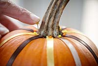 Decorating pumpkin - pinning ribbon to pumpkin 