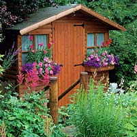 Summerhouse fitted with colourful windowboxes filled with snapdragons, petunias and lobelia.