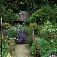 Gravel path edged Nepeta Six Hills Giant amid beds of eremurus, corydalis, astrantia, foxglove, scabious, hardy geranium, box and holly topiary leads to thatched gazebo.