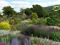 Informal beds of herbaceous perennials in The Gravel Garden. Holt Organic Garden, North Somerset.