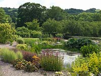 A pond bordered by informal beds of herbaceous perennials at the bottom of the Gravel Garden, Holt Organic Garden.