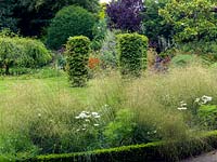 A view through box edged beds planted with Deschampsia 'Bronzeschleier' and white Cosmos, to hornbeam columns and Magnolia and weeping Birch trees.