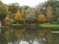 Reflective lake with trees in autumn colour.  Trees include - Salix alba f. argentea, syn. var.sericea - silver willow. Field maples, Pyrus calleryana 'Chanticleer'