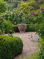 Rose Garden. Glimpse between box-edged beds of roses - Comte de Chambord, Prosperity, Felicia - to Greek pot.