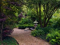 A shady Japanese influenced garden with lantern and water feature. A multi stemmed Pittosporum, Acers and bamboo are underplanted with shade tolerant Buxus, Geranium, Epimedium and ferns.
