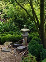 A shady Japanese influenced garden with lantern and water feature. Planting includes shade tolerant Buxus, Geranium, Epimedium and ferns.
