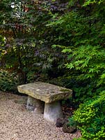 Acers with small stone bench in a Japanese influenced garden