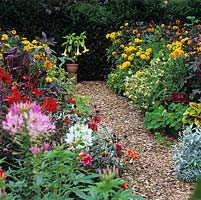 Colourful flowerbeds with Cleome hassleriana, Dahlia 'Bishop of Llandaff' and 'David Howard', Brugmansia, Rudbeckia 'Double Delight'. Red-leaved Canna 'Durban', ricinus, coleus and cordyline.