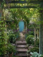 30m x 8m town back garden. View under central pergola, up steps, past box balls and raised beds of Allium Purple Sensation and white lace flower, on path to blue door in wall.
