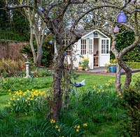 Pretty summerhouse in sunny corner, with deck for sitting out in warmer weather. In the foreground, old apple trees with Clematis macropetala underplanted with naturalised Narcissi.