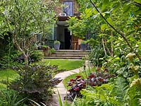 View over fern, hosta, heuchera, camellia, astilbe to terrace. Path winds past trees - olive, birch, sumach. Steps with pots of herbs and lavender.
