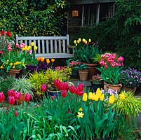 Spring container and flower display on small, sheltered patio with wooden bench seat 