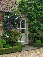 Porch and front door are edged in beds of Clematis 'Perle d'Azur', white roses, box topiary and Photinia x fraseri 'Red Robin'.