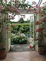 Conservatory with pink and white bougainvillea trained up the wall looks out over courtyard with bed of white Rosa 'Marie Pavie' around sundial