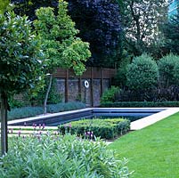 Square, raised herb bed echoed by a square of clipped box beside pool - approached via alternating strips of grass and limestone. Lavender edges pool