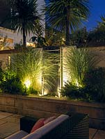 Outdoor room lit at night. Stainless steel panel water feature, flanked by miscanthus grasses.