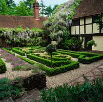 100-year-old Wisteria sinensis scrambles over timbered facade of 1565 farmhouse complemented by Elizabethan style knot garden