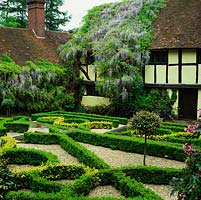 100-year-old Wisteria sinensis scrambles over timbered facade of 1565 farmhouse complemented by Elizabethan style knot garden on two levels.