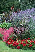 Border with Verbena bonariensis, Canna purpurea, Penstemon 'Firebird', Pelargonium americana 'Deep Red', Pennisetum glaucum 'Purple Majesty'