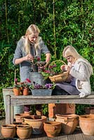 On a wooden deck edged in bamboo, two girls plant up a winter container with red cyclamen, purple ornamental cabbages, annual violas and Skimmia japonica 'Rubella'.