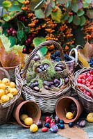 Baskets filled with sweet chesnuts, rose-hips, crab-apples and blackberries foraged in autumn.