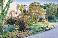 Succulents, Cactus and Perennial border in Suzy Schaefer's garden, Rancho Santa Fe, California, USA.