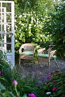 Conservatory leading out to patio in rose garden with wicker chairs and Rosa 'Madame Hardy'
